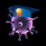 1st Class Honours