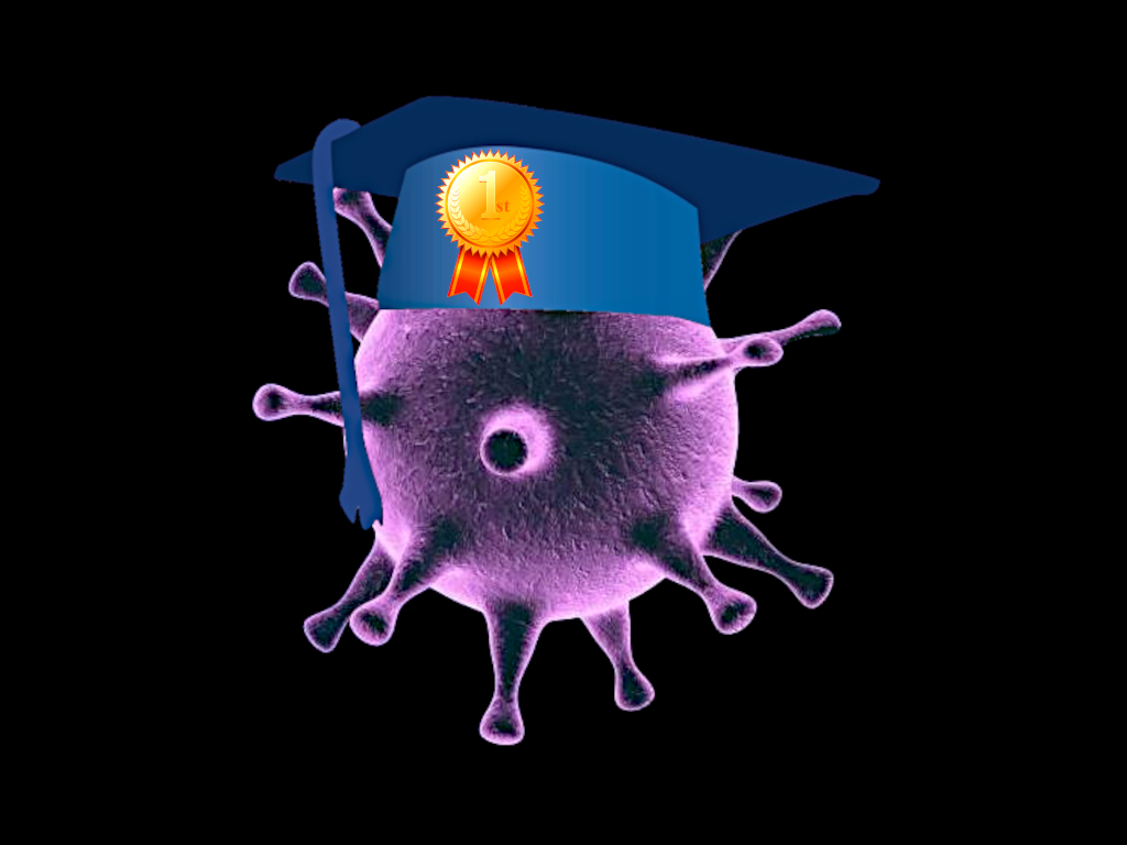 1st Class honours